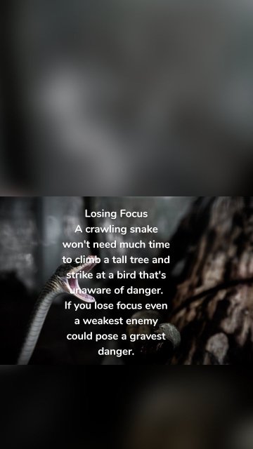 Losing Focus A crawling snake won't need much time to climb a tall tree and strike at a bird that's unaware of danger. If you lose focus even a weakest enemy could pose a gravest danger.